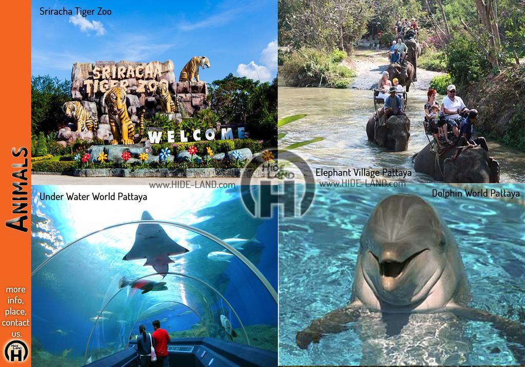 Hideland - The Luxury Tropical Villa باتايا المظهر الخارجي الصورة